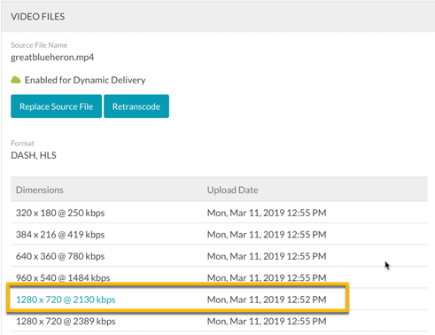 Rendu téléchargeable